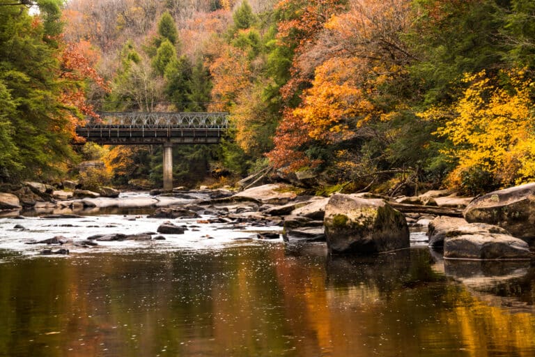 Vibrant Fall Foliage along the driving tours during the Autumn Glory Festival.