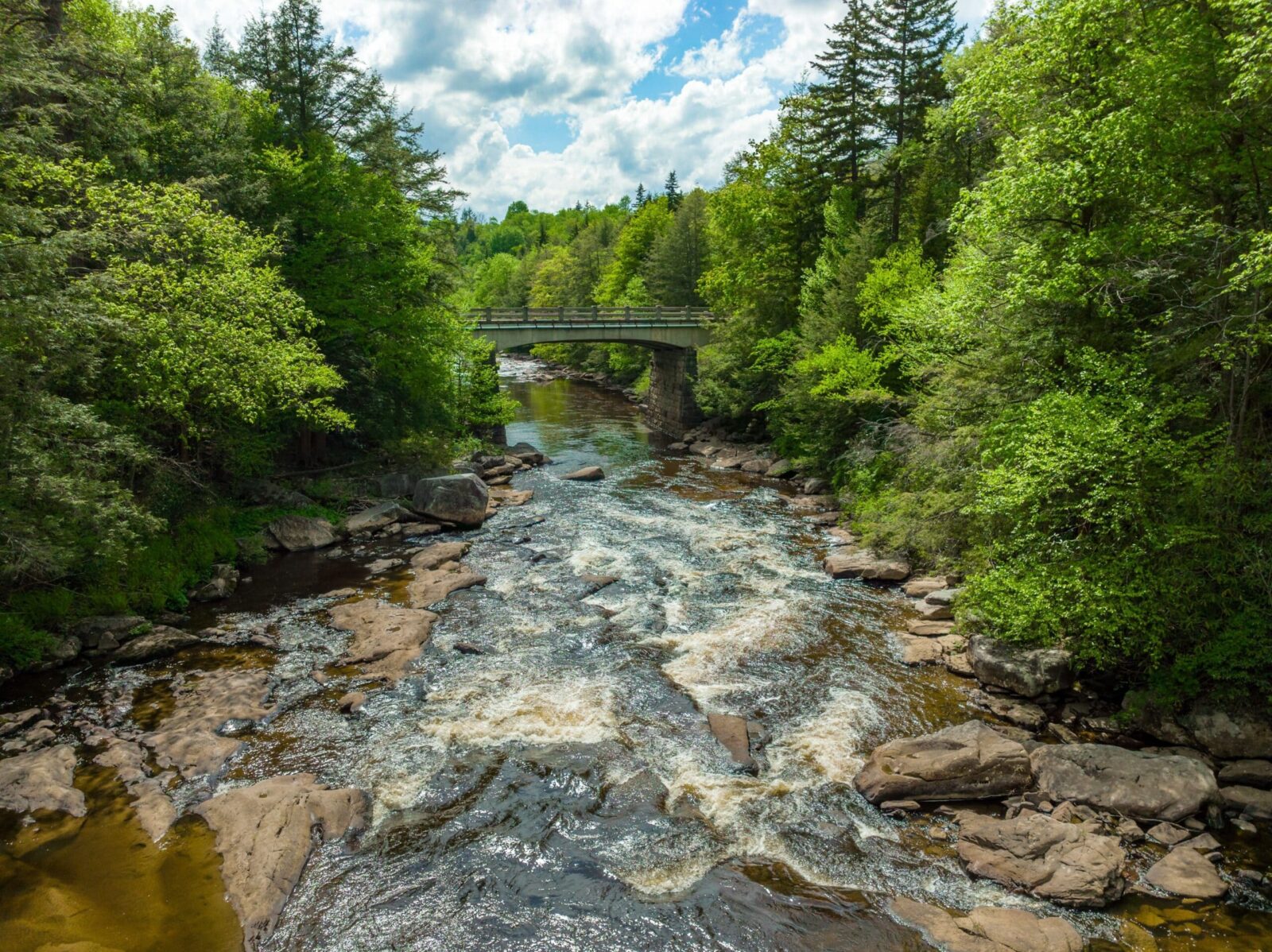 Aerial view of the Swallow Falls State Park from Canyon Trail.