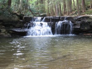 Swallow Falls State Park