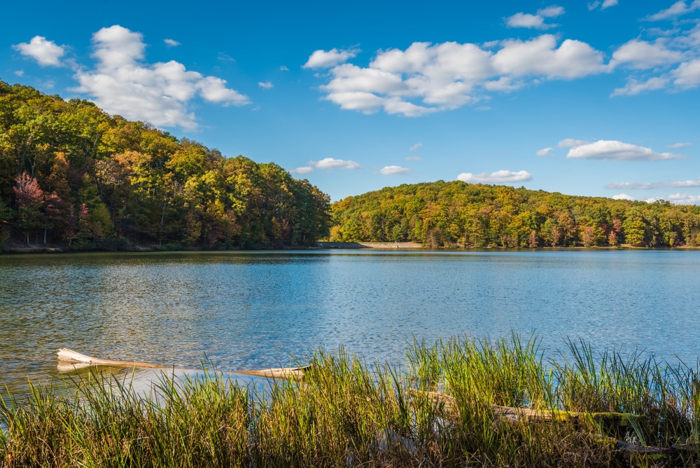 Herrington Manor State Park