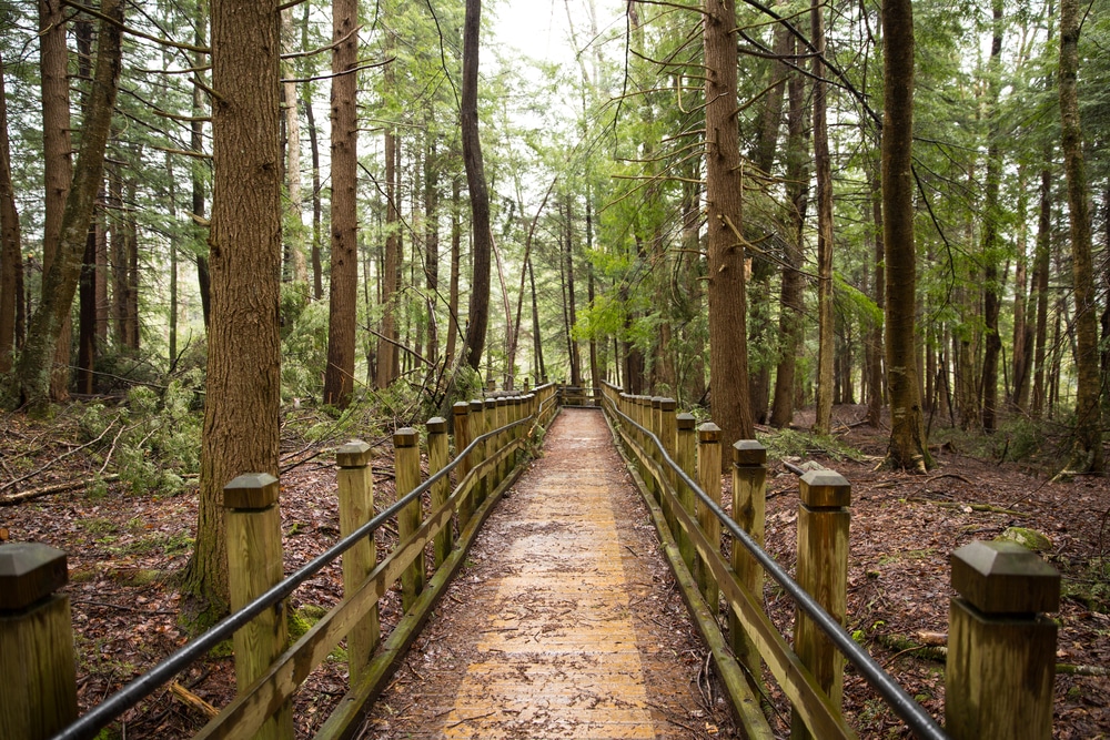 Maryland State Parks Near Deep Creek Lake