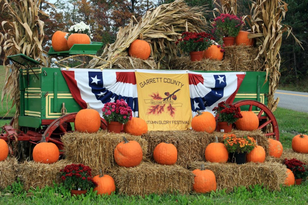 Maryland Fall Foliage