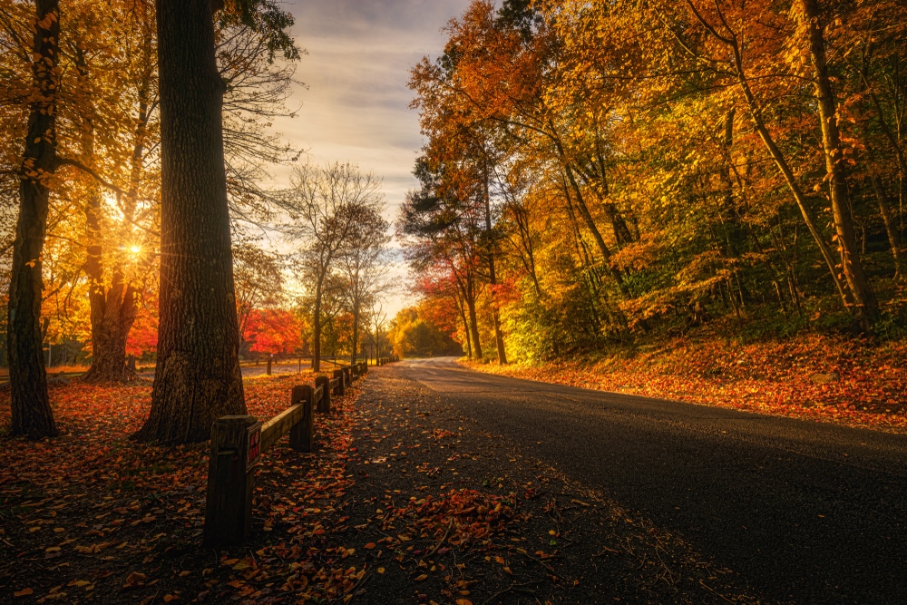 Scenic Drives in Maryland