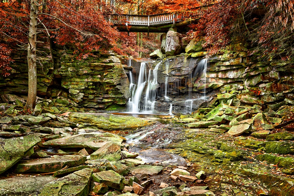 See Stunning Fall Foliage At West Virginia's Blackwater Falls State Park