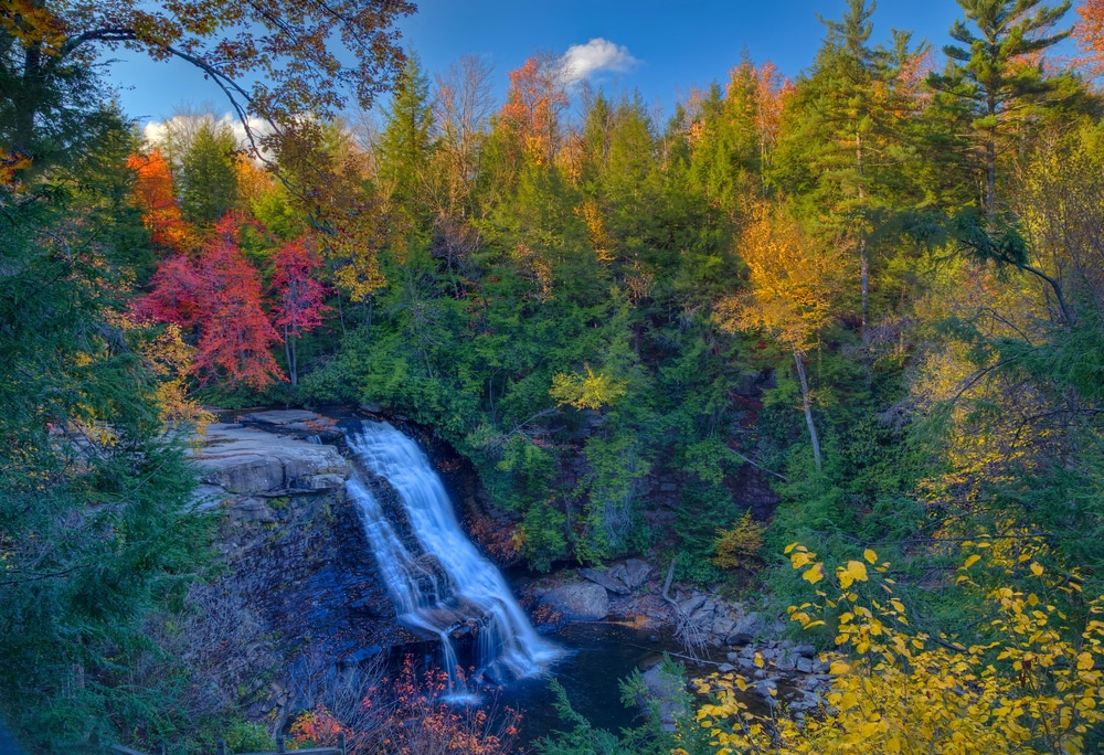 Swallow Falls State Park is one of the best destinations year round near our Deep Creek Lake Hotel