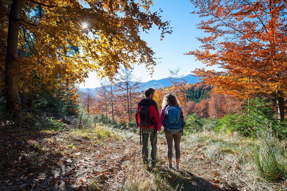 Fall in Maryland/Find the Most Stunning Fall Colors in Maryland