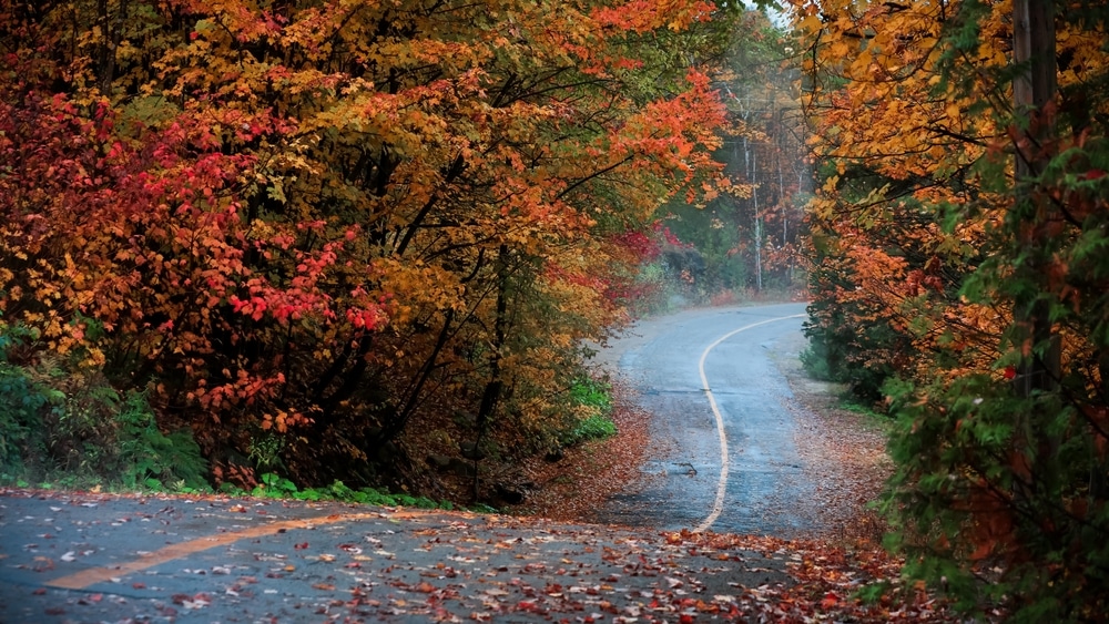 The Best Day Trip Itinerary for Scenic Drives in Maryland, photo of a pretty road in Autumn