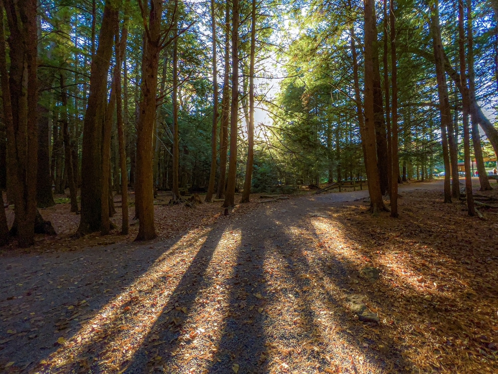 The Best Hiking Near Deep Creek Lake, MD / Unwind with a Massage at our Hotel on Deep Creek Lake