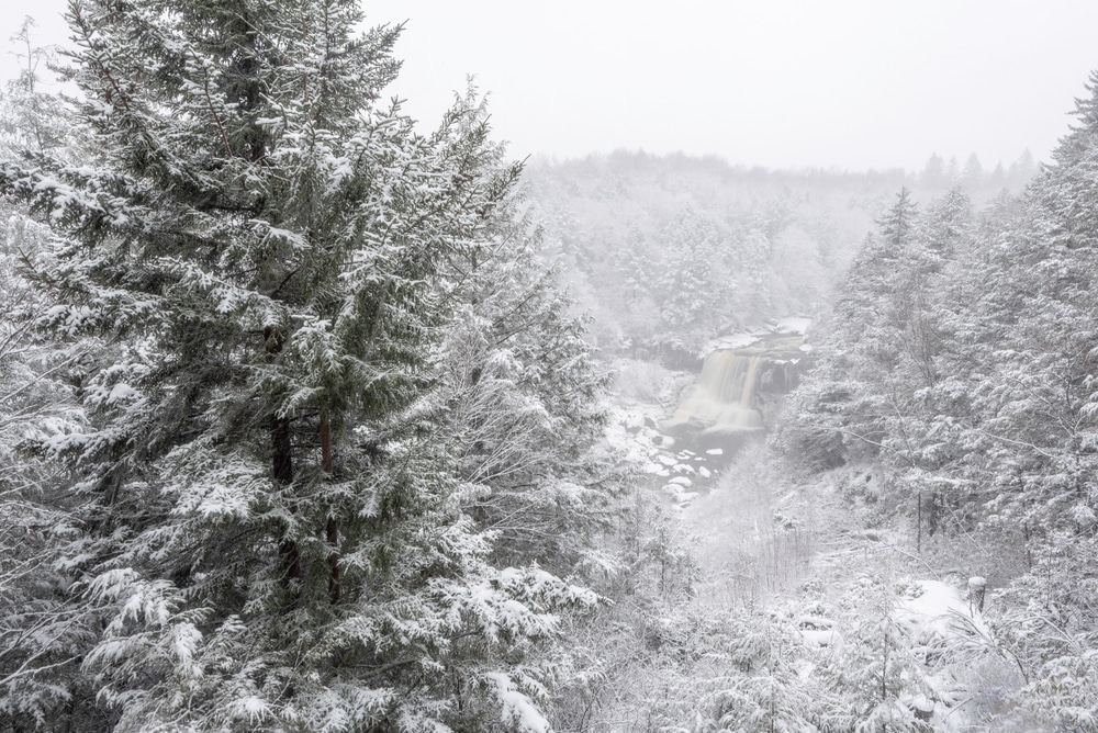 A view of Blackwater Falls State Park from a distance this winter